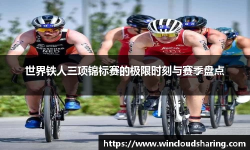 bsports登录入口